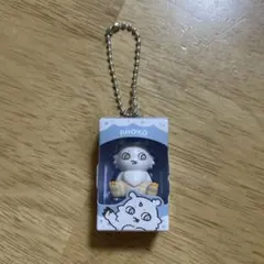 ちいかわ　チョコボックス　あのこ