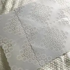 レース模様 花柄 ホワイトランチョンマット 4枚セット