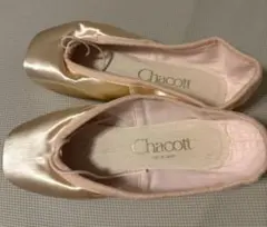 Item thumbnail for item cd617c0b-9b57-4df6-aafb-65909e4d4e0b