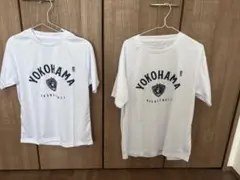 横浜ビー・コルセアーズ Tシャツ 2枚セット S・L