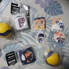 ハイキュー‼︎×MIKASA コラボBOX付きボール 白鳥沢学園高校　烏野高校