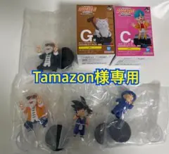 専用　一番くじ ドラゴンボール B賞　亀仙人(レア) G賞　カリン　他4点