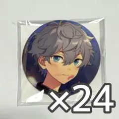 あんスタ 缶バッジ 泉 24点セット