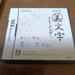 【タッチペンなし】ニンテンドーDS　美文字トレーニング