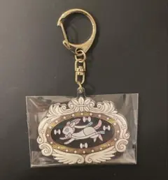 ポケパーク ポケパークカントー ブイブイヴォヤージュ アクキー ニンフィア