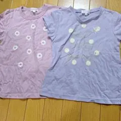 サンカンシオン　Tシャツ　120 3can4on ワールド　トップス　2枚組
