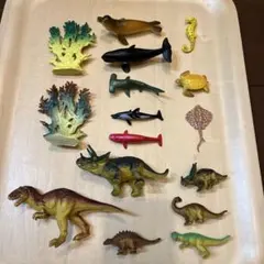 動物　海の生き物フィギュア セット 多様な生物　16体セット