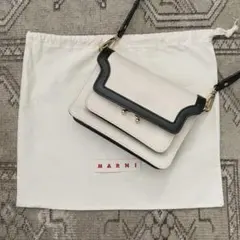 Marni Small Beige & Black Trunk bag