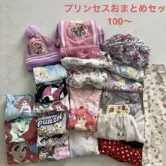 （お値下げしました）⭐︎おまけ付き⭐︎ディズニープリンセス100.110おまとめ