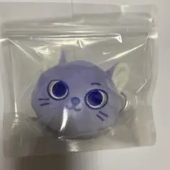 BOYNEXTDOOR No Genre プネクド キーリング ケッピ ソンホ