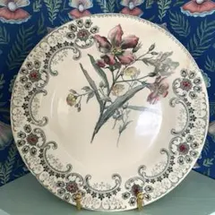 2025年最新】ショワジールロワ 切り花の人気アイテム - メルカリ