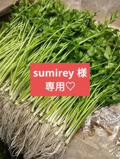 sumirey様 専用 12月30日発送分