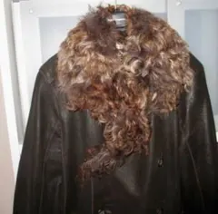 Item thumbnail for item 6d960062-6dcd-4df6-ba2d-0dd84b8e3450