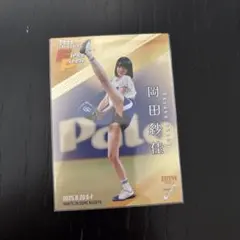 Item thumbnail for item 840c63f0-19ea-4ce3-935c-a1aa8572dee0