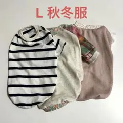 Item thumbnail for item c6e081fe-f549-4b1c-9011-26a5bb7d3665