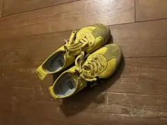 オニツカタイガー