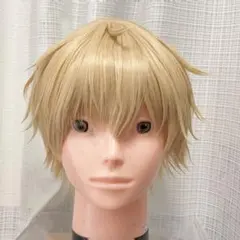 2026年最新】エクスアルビオ コスプレの人気アイテム - メルカリ