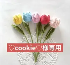 ♡cookie♡様専用 変わりチューリップ鉢植え