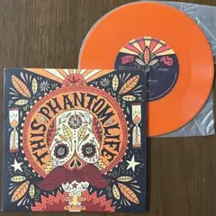 激レア カラー レコード UK 盤 Leisure Society レコード