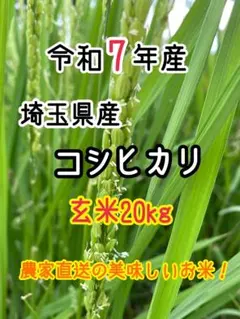 20kg 玄米 野沢農産 【玄米20kg】農家直送！美味しいお米！埼玉県産コシヒカリ！ お米 長野 流るる こしひかり コシヒカリ 送料無料 穀類