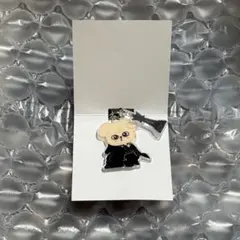 straykids シーグリ FORCE skzooキーホルダー スンミン