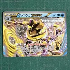 2026年最新】ゲッコウガBREAKの人気アイテム - メルカリ