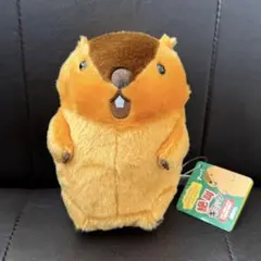 Item thumbnail for item 553ddc30-b02f-480d-9eca-3fe706bcc448