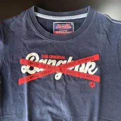 Item thumbnail for item e2b6851a-cea2-4ff4-a5c5-0baa00e5533e