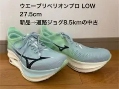 Item thumbnail for item 4d5fe073-08d2-4fd2-a278-a3f3fb4de4ca