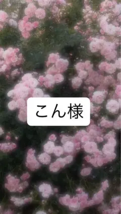 こん様