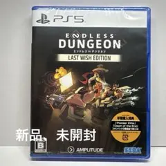 ENDLESS DUNGEON LAST WISH EDITION PS5