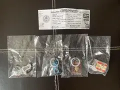 仮面ライダー めじるしアクセサリー2
