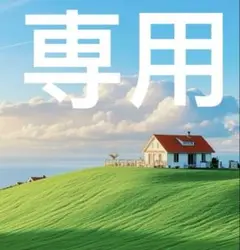 なんちゃん様　専用ページ