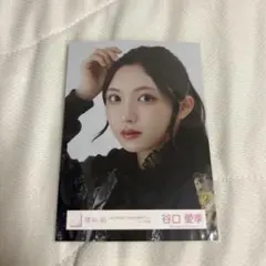 谷口愛季 生写真 東京ドーム 櫻坂46