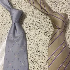 東京シャツ　秋色　グレーとベージュのメンズネクタイ　お買得セット