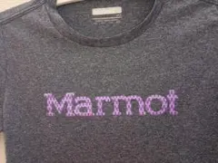 Marmot グレー ロゴ入り 半袖Tシャツ US Mのサムネイル