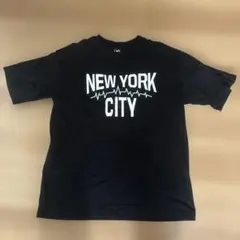 Item thumbnail for item 4bcf19a3-09c9-4305-a933-4e10035e42c0