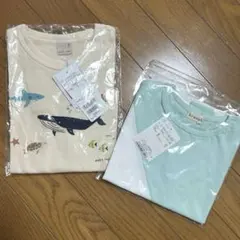 【新品】プティマイン　ブランシェス　Tシャツ　半袖　海の生き物　100 男の子