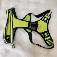 Item thumbnail for item 92b61a15-a5a4-4012-a8bd-d9e6de8f685e