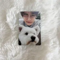 K-POP タレントカード セルフィー