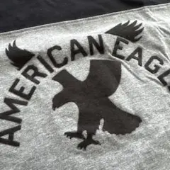 AMERICAN EAGLE プリントTシャツ M