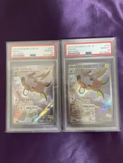 2025年最新】ライチュウ ar psaの人気アイテム - メルカリ