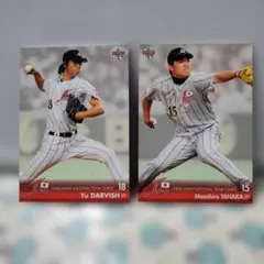 Item thumbnail for item 914cd79f-3be2-44d9-818c-a65ffdb30729