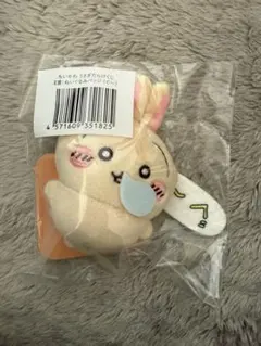 【新品】ちいかわ　うさぎ　うさぎだらけくじ　E賞　ぐ〜　ぬいぐるみバッジ