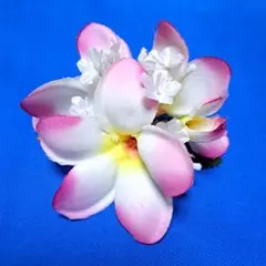 Item thumbnail for item 7e4aa380-9087-4d36-84d5-dcdf464ec64f