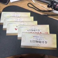 YAMADA HDGS お買い物優待券 10枚セット