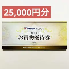 ヤマダデンキ ヤマダホールディングス 25000円分 50枚 優待 株主優待