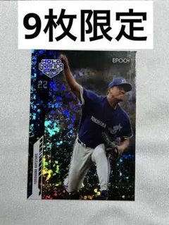 Item thumbnail for item c183cfcd-0d63-427d-80a0-e5141aa49842