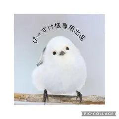 ぴーすけ様専用出品