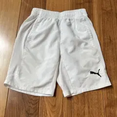 Item thumbnail for item 730c4951-18c7-4613-a25d-7cfb324f9002